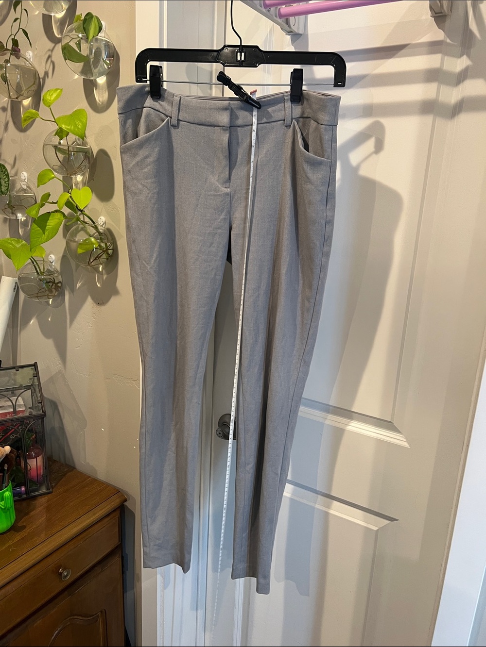 Express Light Gray Tailored Trousers